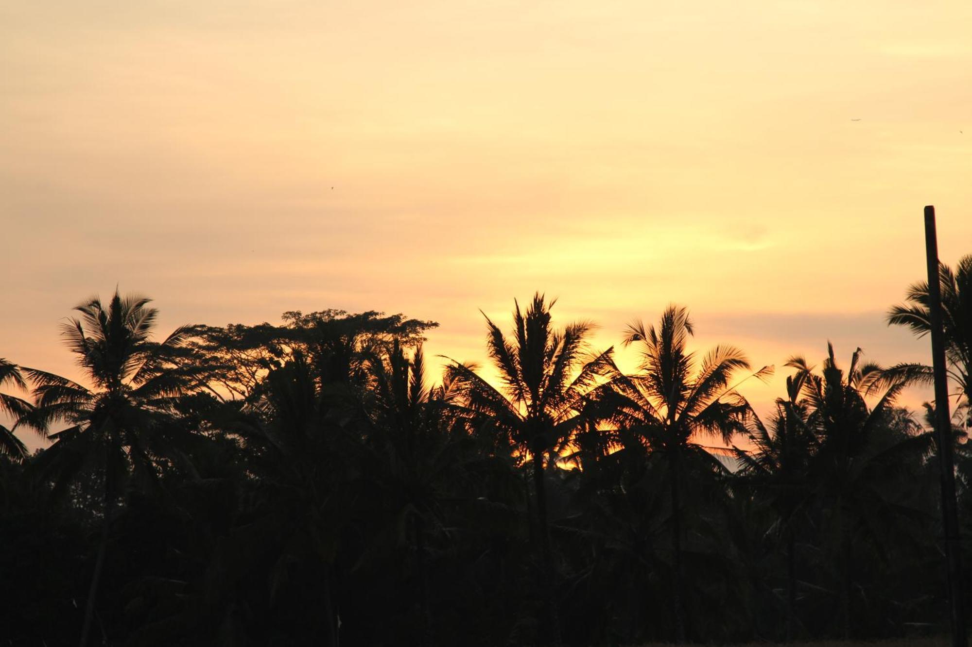 Ubud Kartini Hostel 외부 사진