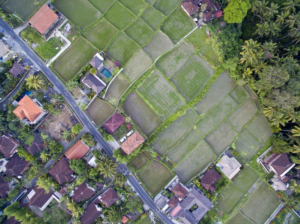 Ubud Kartini Hostel 외부 사진